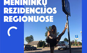Menininkų rezidencijos Lietuvos regionuose