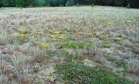 &bdquo;Natura 2000&ldquo; saugomos buveinės