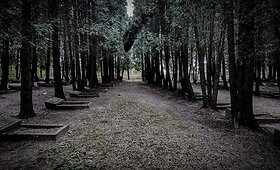 Apytalaukio dvaras ir greta esančios kapinės