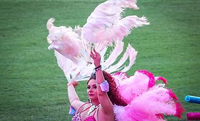 Australijoje įvyko Sidnėjaus LGBT bendruomenės &bdquo;Mardi Gras&ldquo; paradas