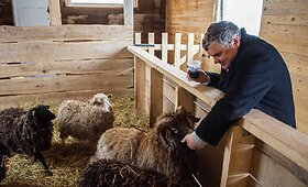 Bistrampolio zoologijos sodas