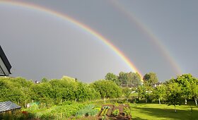 Vaivoryk&scaron;čių spalvos