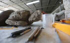 Archeologai ir restauratoriai tiria Pompėjos pelenų palaidotus kūnus 