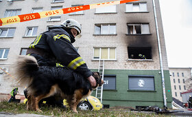 Vilniuje daugiabutyje kilo gaisras