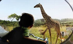 Danijos zoologijos sode gyvūnams norima leisti vaik&scaron;tinėti laisvai, o uždaryti žmones