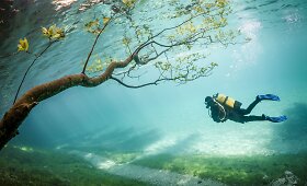 Parkas Austrijoje, kurį užlieja patvinę Žaliojo ežero vandenys