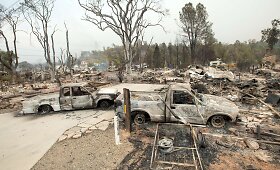 I&scaron;plitusio mi&scaron;ko gaisro suniokotas Midltaunas Kalifornijoje