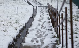 Baltas lapkričio 2-osios rytas Vilniuje