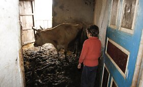 Turtinė nelygybė Europos &scaron;alyse &ndash; nuo didžiausios iki mažiausios