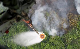 Mi&scaron;ko gaisrai Indonezijoje paskandino miestus dūmuose