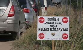 Akmenės rajone utilizuojamas kiaulių kompleksas