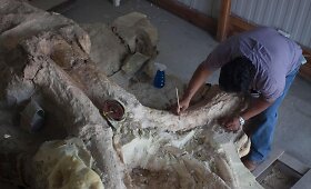 Paleontologai Meksikoje valo prie&scaron; metus rastus mamuto griaučius