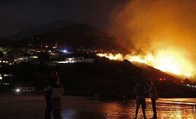Netoli Keiptauno didžiulis gaisras sunaikino mažiausiai tris namus