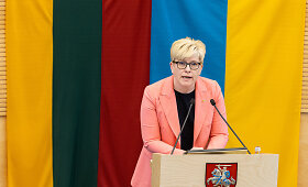 Seimo posėdis dėl pirmalaikių Lietuvos Respublikos Seimo rinkimų