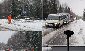 Pirmo gegužės savaitgalio gamtos i&scaron;daigos &Scaron;iaulių apskrityje