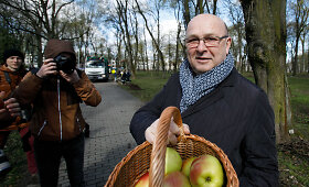 Kauno meras Visvaldas Matijo&scaron;aitis tvarkdarius vai&scaron;ino obuoliais