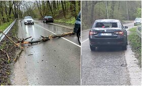 Ant važiuojančio kauniečio automobilio užkrito medis