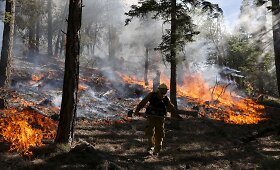 Dėl sausros Kalifornijos mi&scaron;kuose kilo gaisras