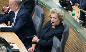Seimas leido pradėti I.Rozovos veiklos tyrimą