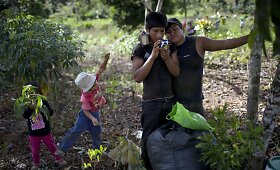 Peru kokos lapų rinkėjai &ndash; daugiausiai jo i&scaron;gaunančiame slėnyje