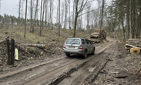 Veisiejų regioniniame parke esančiame Ringėli&scaron;kės draustinyje suniokotas kelias