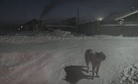 &Scaron;alčiausias nuolat gyvenamas kaimas Rusijoje &ndash; Oimiakonas