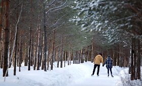Kanadiečiai Kvebeko mi&scaron;ke i&scaron;liejo 13 km kelią pačiūžoms