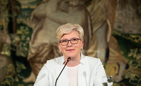 Tėvynės sąjungos &ndash; Lietuvos krik&scaron;čionių demokratų spaudos konferencija po pirmo Seimo rinkimų turo