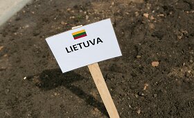 Vilniaus universiteto Botanikos sode pasodintas Europos Sąjungos žiedas