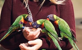 Spalis &bdquo;Zoopark&ldquo; &ndash; i&scaron;skirtinės pramogos ir nemokamos ekskursijos