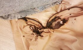 Vilnietės gintaravimas vos nesibaigė tragedija