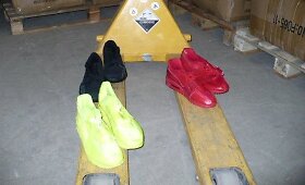 Muitininkai Panevėžio apylinkėse sulaikė vilkiką su &bdquo;Nike&ldquo; batelių klastotėmis