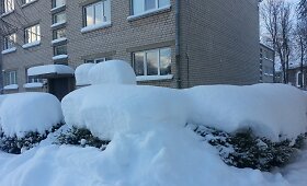 Sniegas Skuode