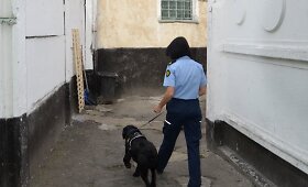 Netikėta krata Marijampolės pataisos namuose