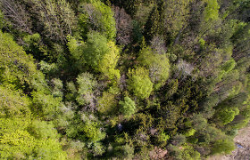VSTT: „Natura 2000“ teritorijoms plėsti bus išperkama privati žemė, miškai