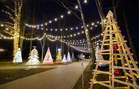 Jonavoje – kalėdinių eglučių miestelis, kuriame – ir iš padangų, akmenų, stiklainių sukurti Kalėdų medžiai