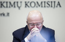 19 (17) Balsavimo internetu sistemos sukūrimo ir įgyvendinimo įteisinimas