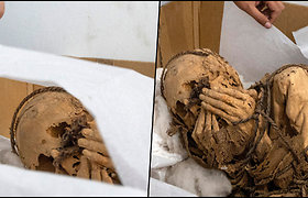 Tyrėjai atkasė palaikus – mumija buvo surišta virvėmis, jos rankos dengė veidą