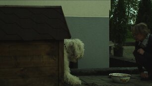 Kadras i&scaron; filmo \"&Scaron;uns dienos\"