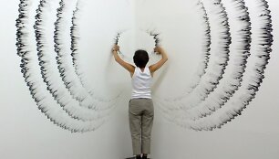 Judith Ann Braun menas
