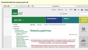 Netikro VMI puslapio vaizdas