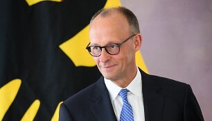 Friedrichas Merzas / Bernd von Jutrczenka / dpa/picture-alliance