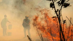 Portugalija / PATRICIA DE MELO MOREIRA / AFP