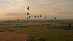 &bdquo;Klaipėdos kra&scaron;to taurė 2014&ldquo; 