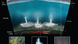 NASA mokslininkai mano, kad teoriškai taip hidroterminės versmės Encelado vandenyną gali praturtinti energija ir cheminėmis medžiagomis