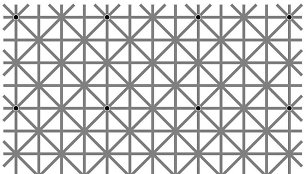 Optinė iliuzija – ar matote 12 juodų taškų?