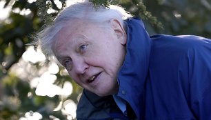 Didžiosios Britanijos dokumentinių filmų apie gamtą kūrėjas seras Davidas Attenborough