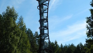 Labanoro regioniniame parke iškils apžvalgos bokštas