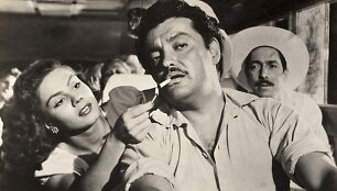 Filmas &bdquo;Laiptai į dangų&ldquo;