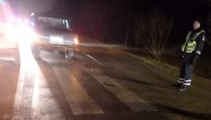 Nelaimės Kauno apskrities keliuose
